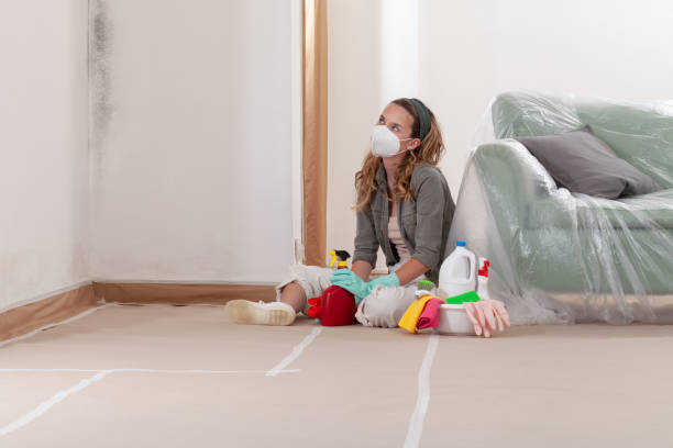 Reliable Mold Remediation contractor in Sanford, CO by WQB Mold Removal